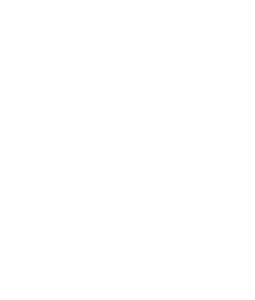 logo ring ps 2 biancoe